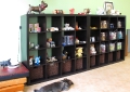 Hundesalon 