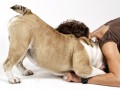 Frau mit Hund - Andrea Spaeth - Fotodesign
