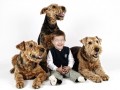 Kind mit Hunden - Andrea Spaeth - Fotodesign