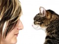 Junge mit Katze -Andrea Spaeth - Fotodesign