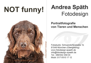 Hund Not Funny_andrea spaeth Fotodesign